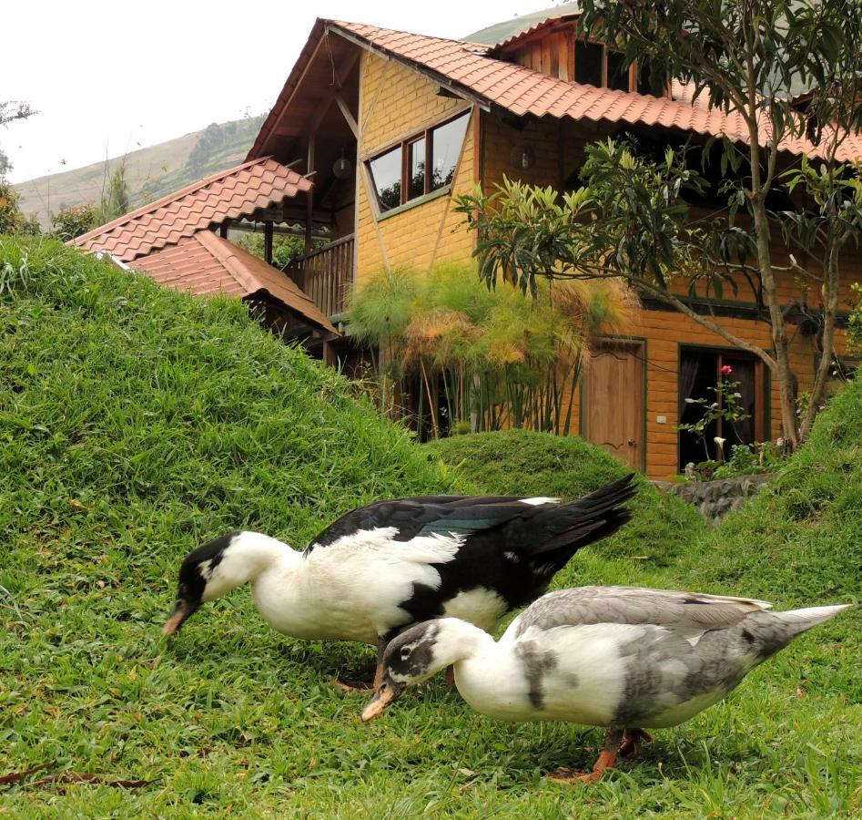 La Casta Otel Patate Dış mekan fotoğraf