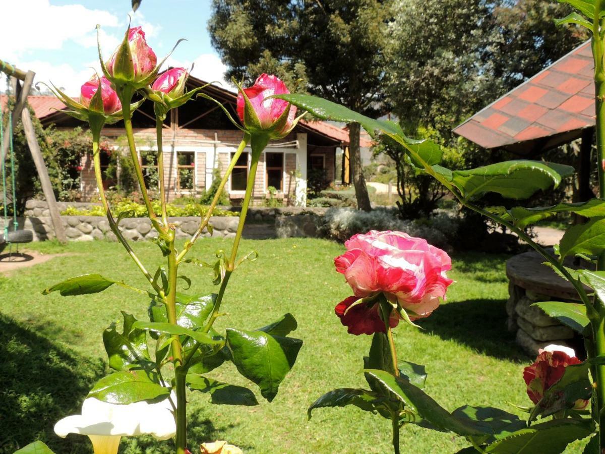 La Casta Otel Patate Dış mekan fotoğraf